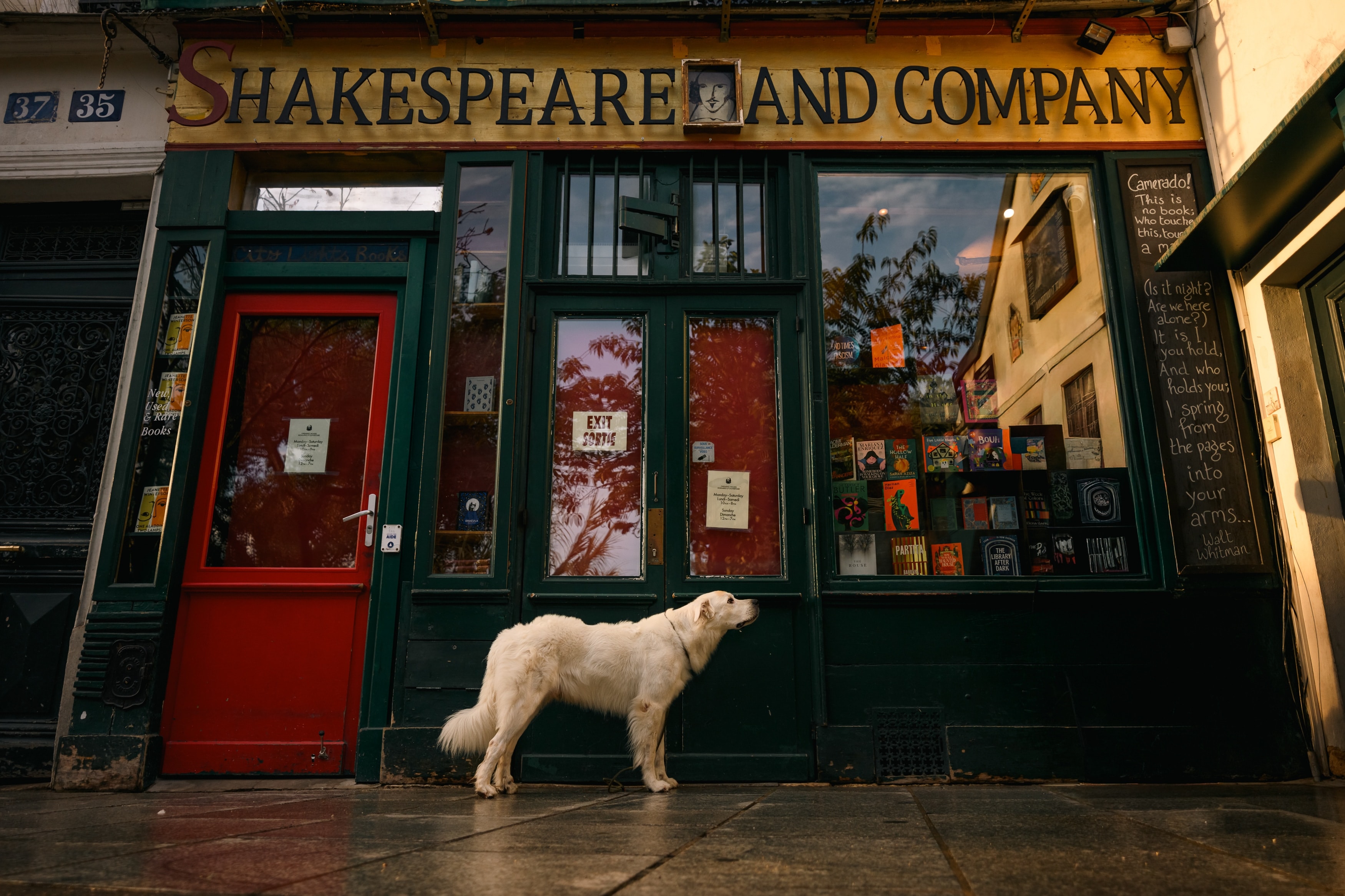 Gallery cover image